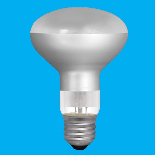 100w r80 reflector - 2x,